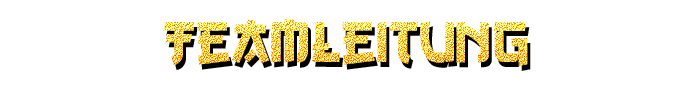 Teamleitung